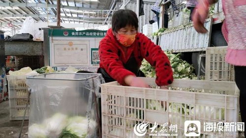 聊城 斷不了菜！記者實地探訪周公河農貿城，日供蔬菜2000噸，新鮮蔬菜零售無憂