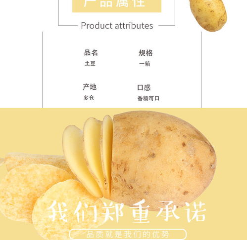 云南黃皮小土豆 現挖現賣的新鮮馬鈴薯，體驗泥土的芬芳